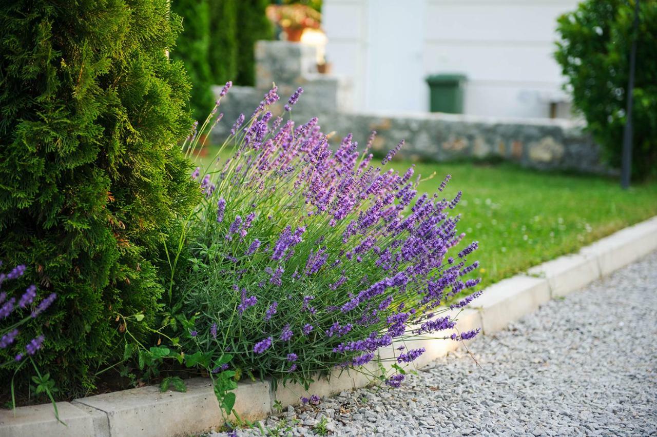 Lake House Sand Ohrid Exterior photo